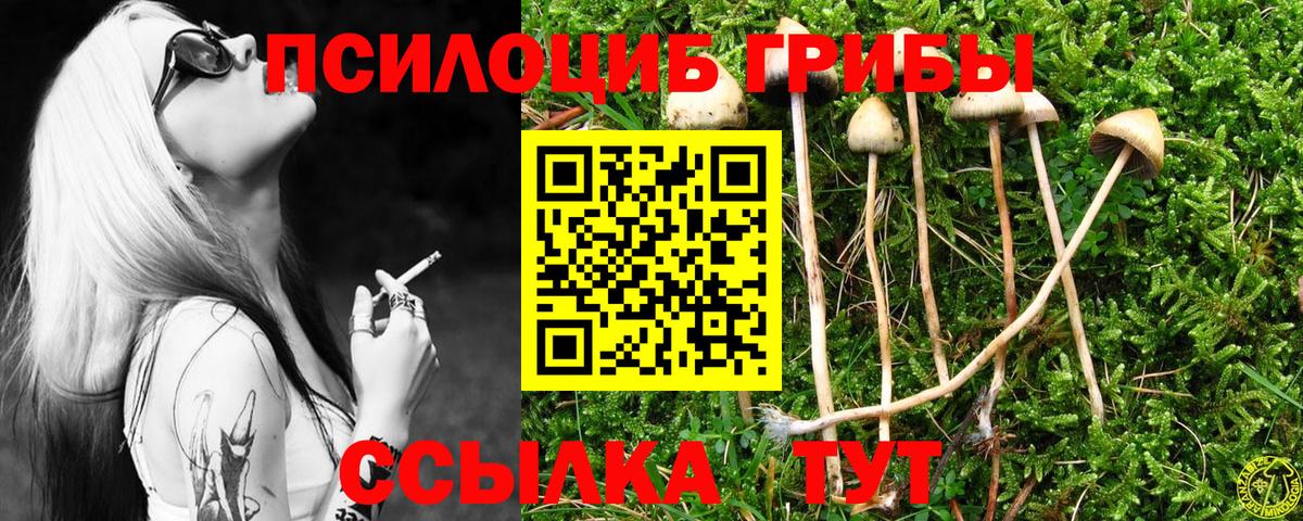 Галлюциногенные грибы мицелий Северобайкальск