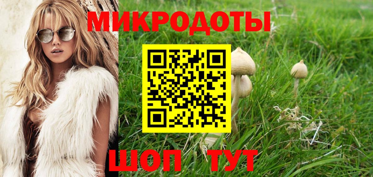 Галлюциногенные грибы Magic Shrooms  Вход с VPN  купить наркоту  Галлюциногенные грибы мицелий  Северобайкальск 